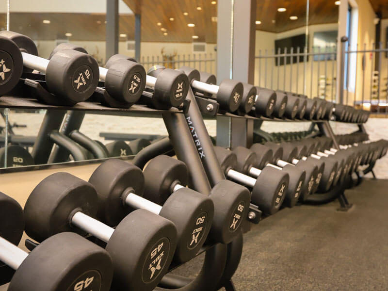 rows of neatly stacked barbells